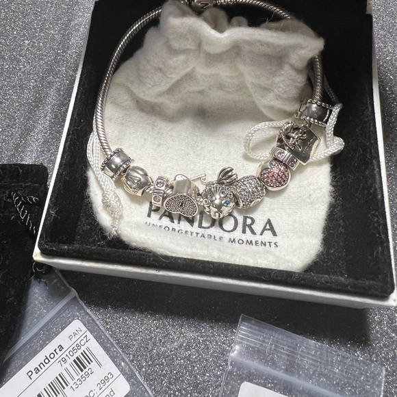 Pandora Jewelry - Pandora Bracelet w/ 19! Authentic Charms